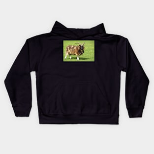 Four Horned Sheep Kids Hoodie